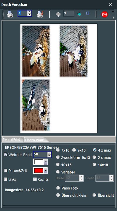 Print11