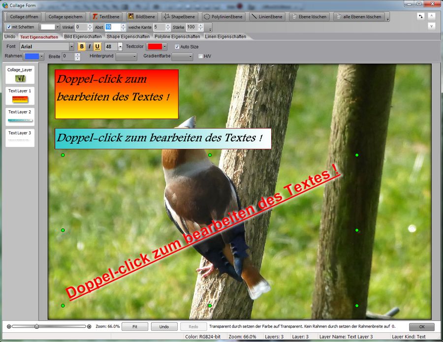 Collage1