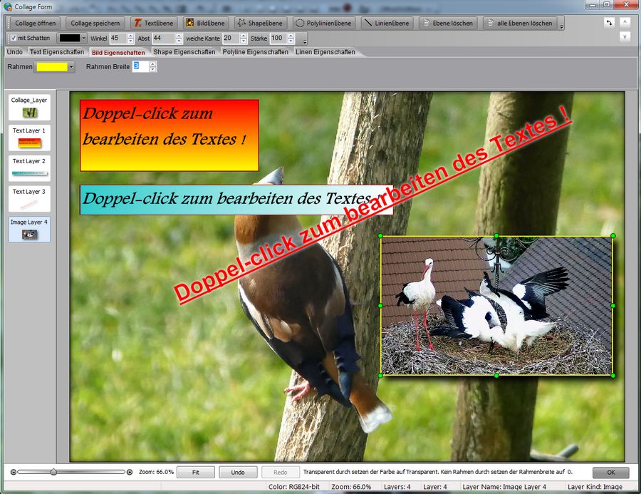 Collage2