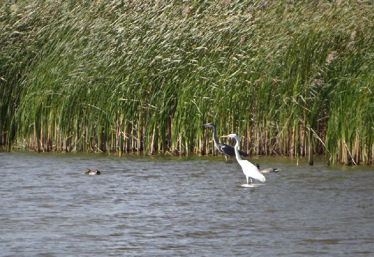 Schärfen8