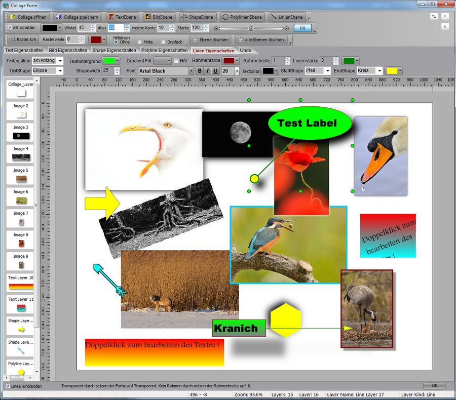 Collage3